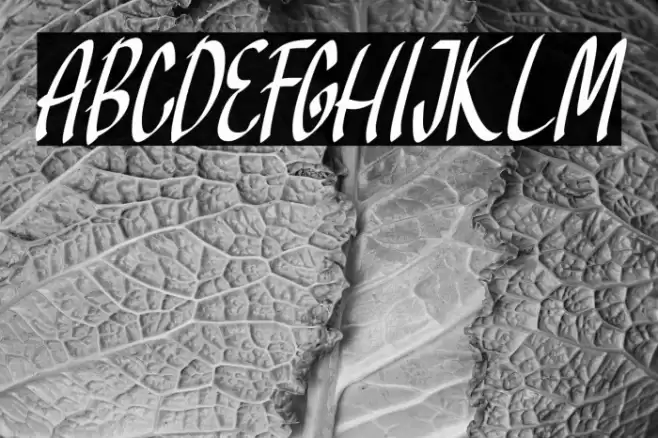 Khalifa Font examples