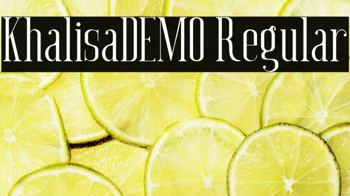 Khalisa_DEMO Regular Example 1