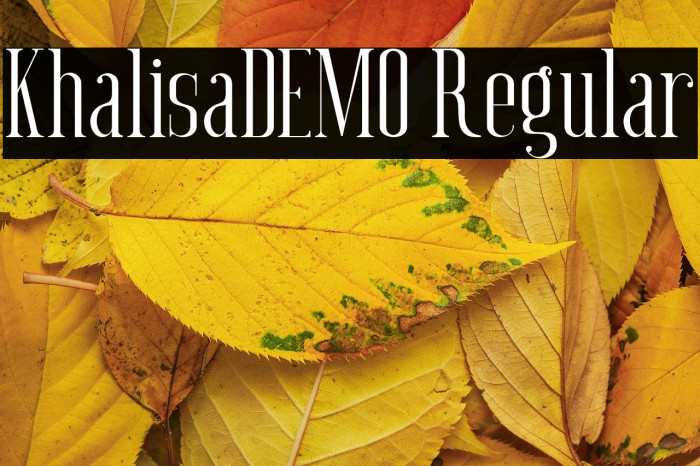 Khalisa_DEMO Regular Example 2