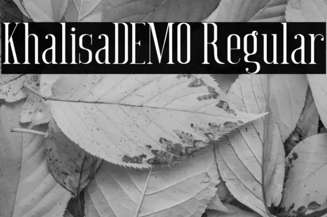 Khalisa_DEMO Regular Font examples