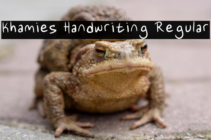 Khamies Handwriting Regular Example 2