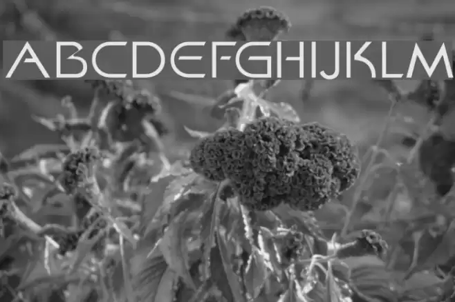 Khan Fill Font examples