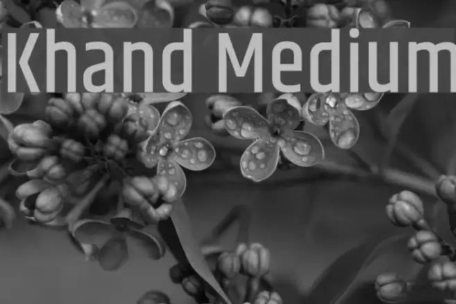 Khand Medium Шрифта examples