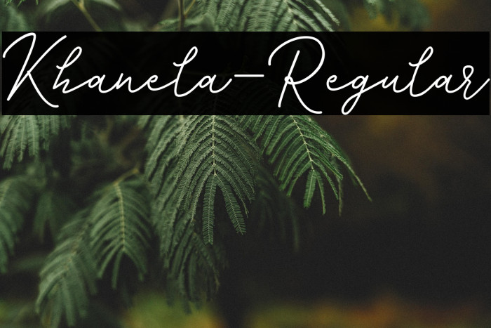 Khanela-Regular Example 1