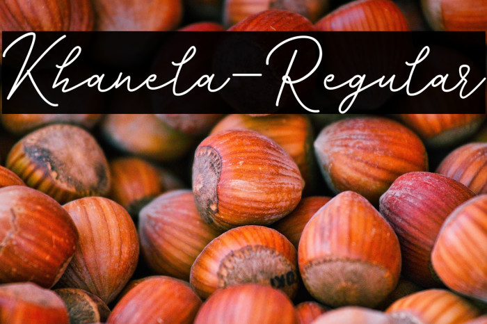 Khanela-Regular Example 3