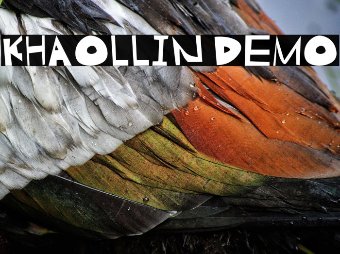 Khaollin Demo Example 1