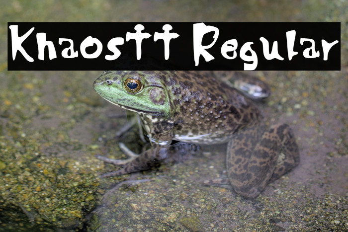 Khaostt Regular Font examples