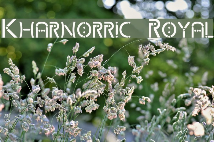 Kharnorric Royal Font examples