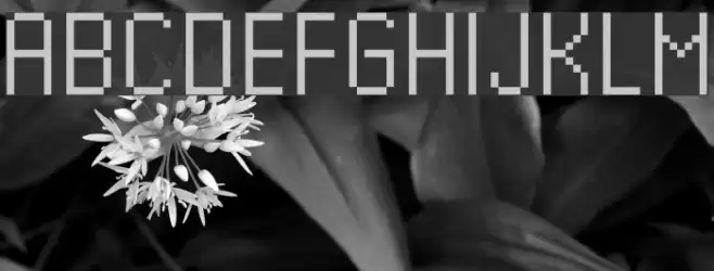 Kharon4a_v01 Font examples