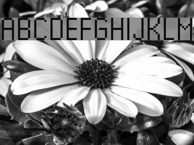 Kharon4a_v01 Font examples