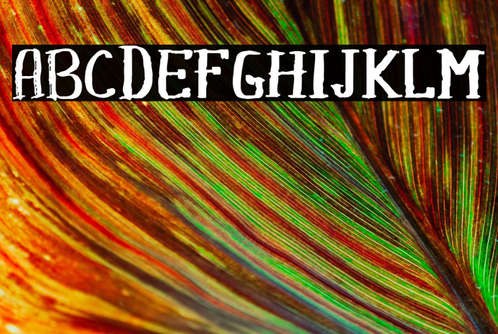 Khasanah Brush Example 1