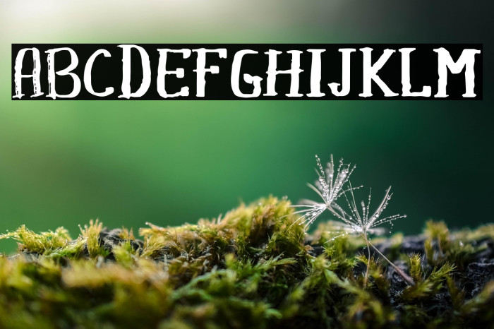 Khasanah Brush Example 3