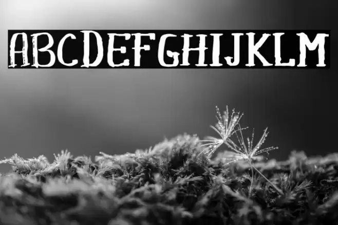 Khasanah Brush Font examples