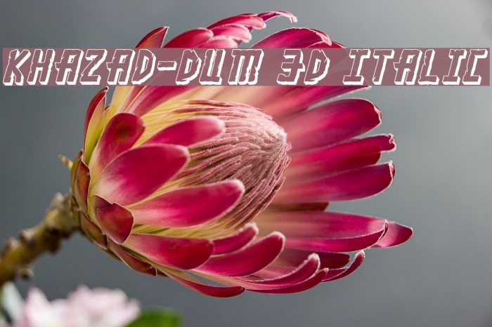 Khazad-Dum 3D Italic Font examples