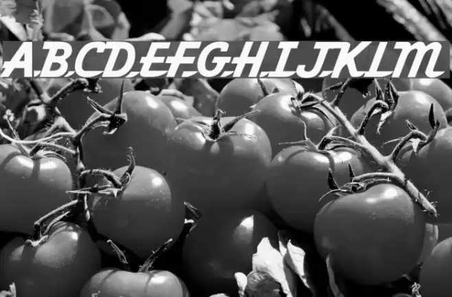 Khedive Font examples