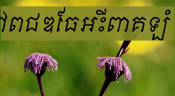 Khek Sattawat Font examples