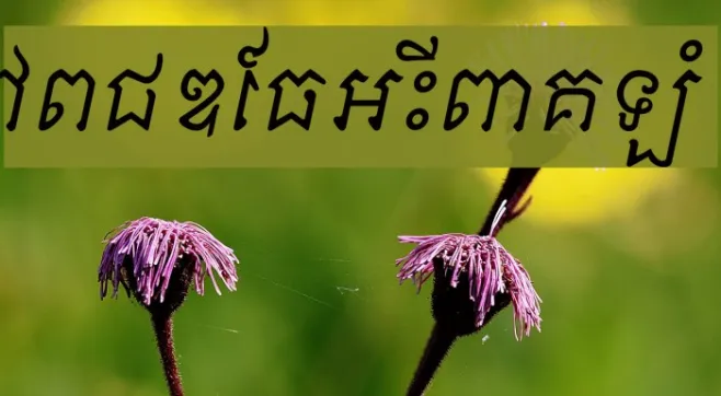 Khek Sattawat Example 3