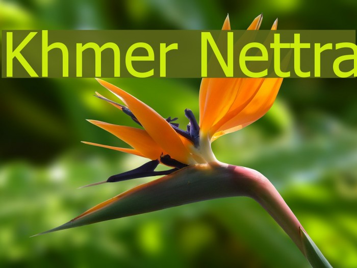 Khmer Nettra Font examples