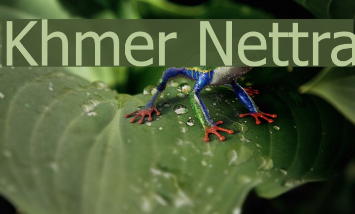 Khmer Nettra Font examples