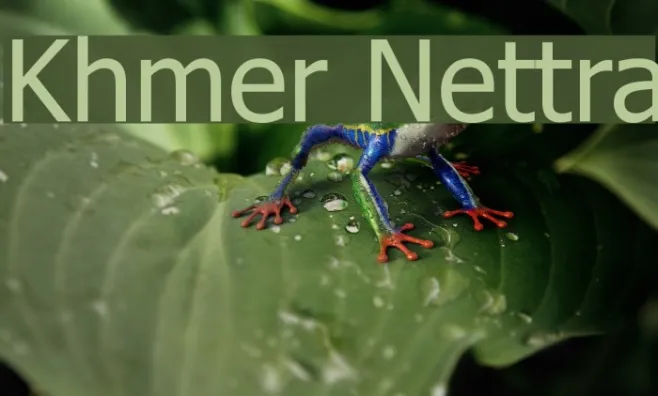 Khmer Nettra Example 3