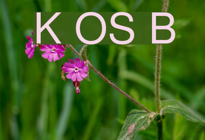Khmer OS Battambang Font examples