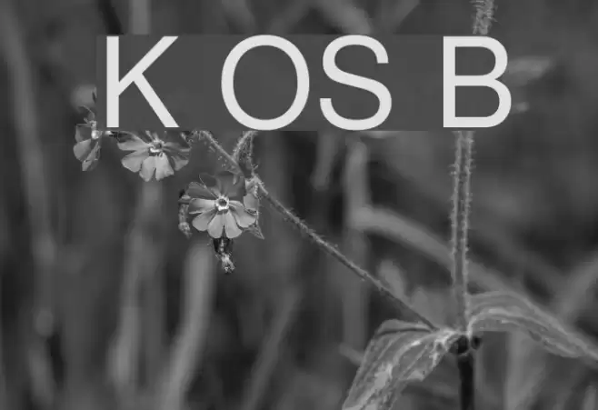 Khmer OS Battambang  examples