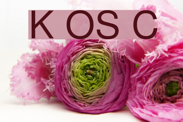 Khmer OS Content Font examples