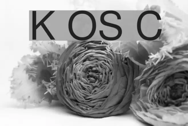 Khmer OS Content Font examples