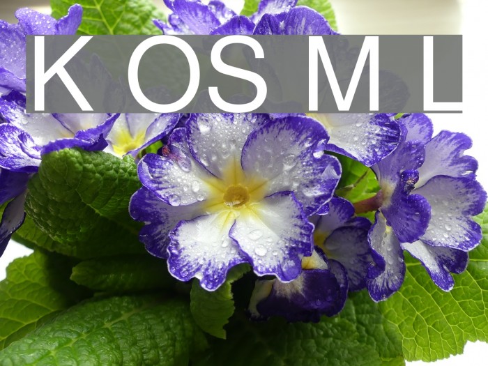 Khmer OS Muol Light Font examples