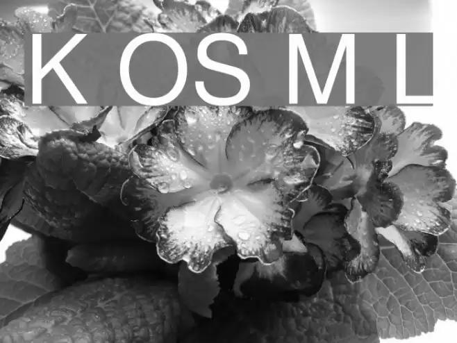 Khmer OS Muol Light  examples