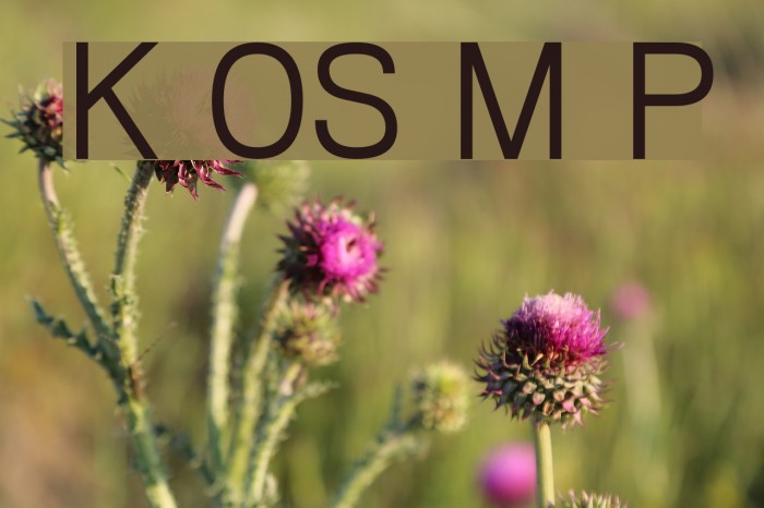 Khmer OS Muol Pali Font examples
