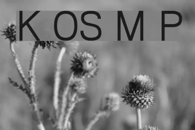 Khmer OS Muol Pali  examples