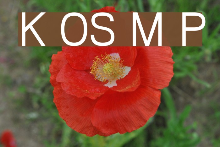 Khmer OS Muol Pali Font examples