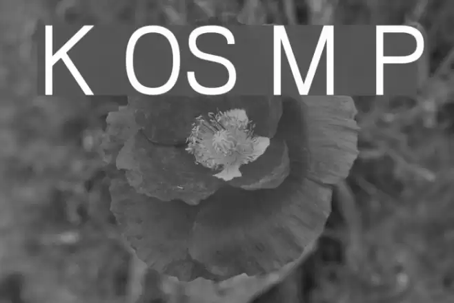 Khmer OS Muol Pali  examples