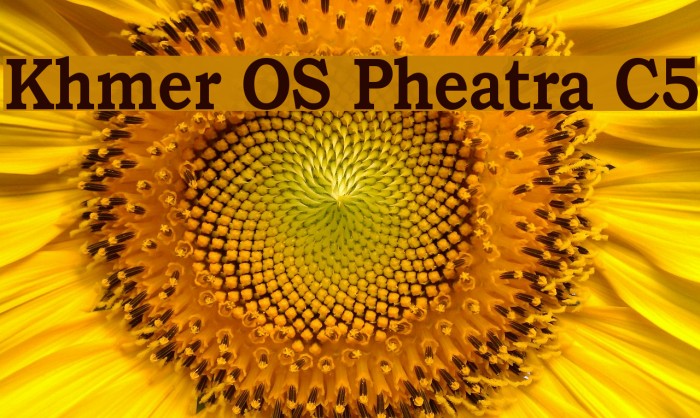 Khmer OS Pheatra C5 Font examples