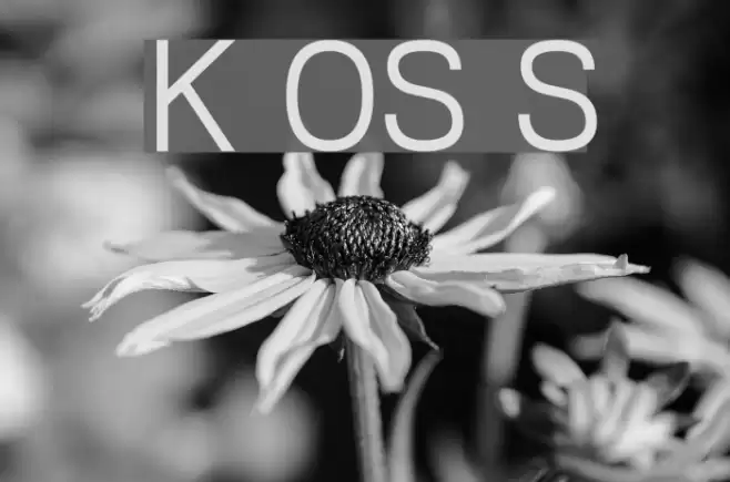 Khmer OS Siemreap  examples