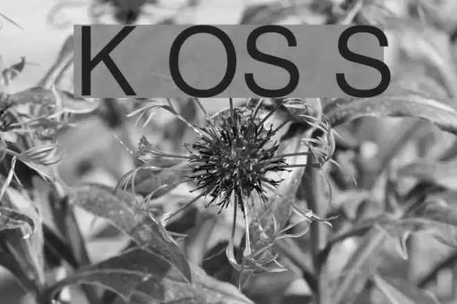 Khmer OS System Font examples