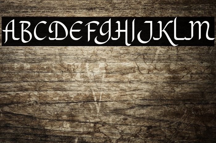 KhodijahFree Example 1