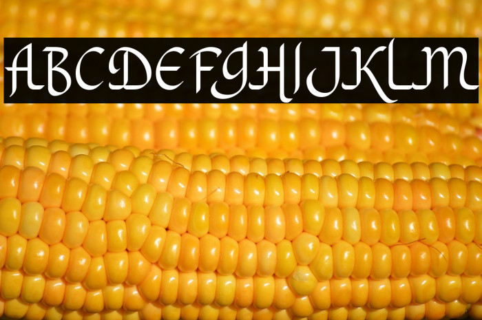 KhodijahFree Example 2