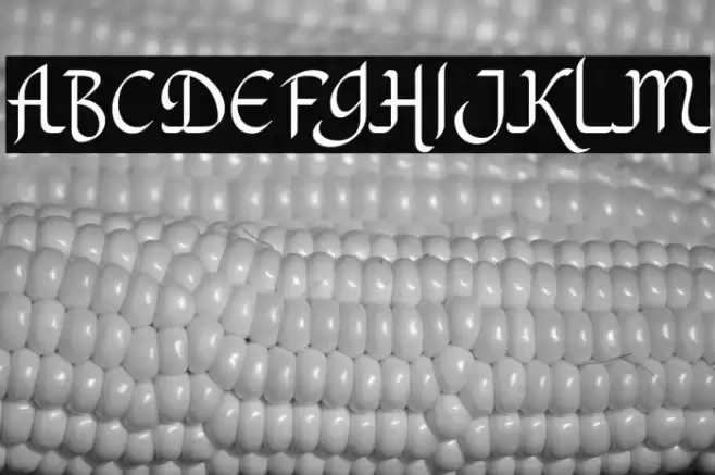 KhodijahFree Font examples