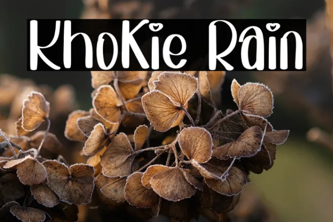 Khokie Rain Example 2