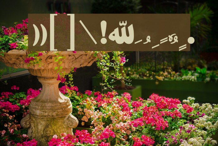 Khorshid Font Font examples