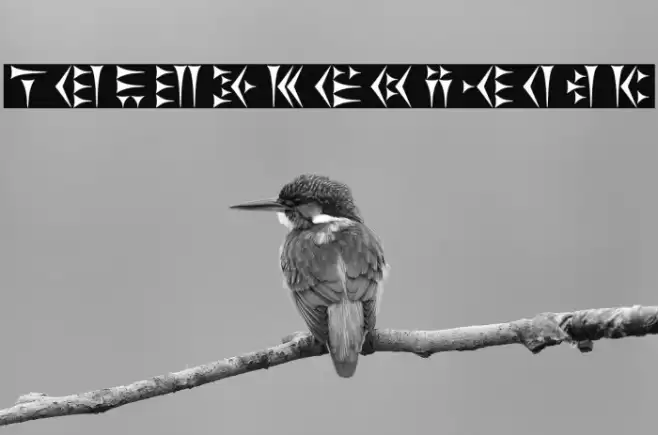 Khosrau Font examples