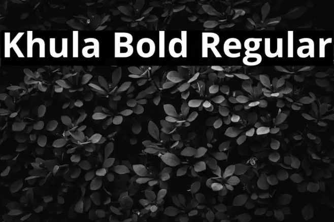 Khula Bold Regular Font examples