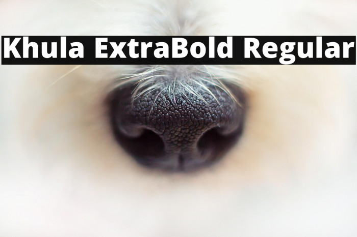 Khula ExtraBold Regular Example 1