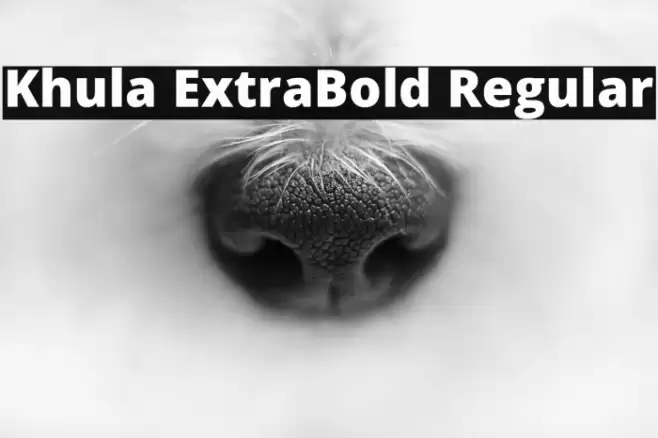 Khula ExtraBold Regular Font examples
