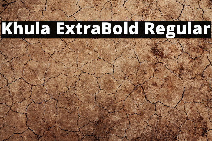 Khula ExtraBold Regular Example 3