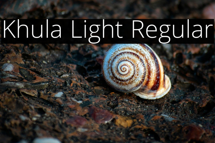 Khula Light Regular Example 3