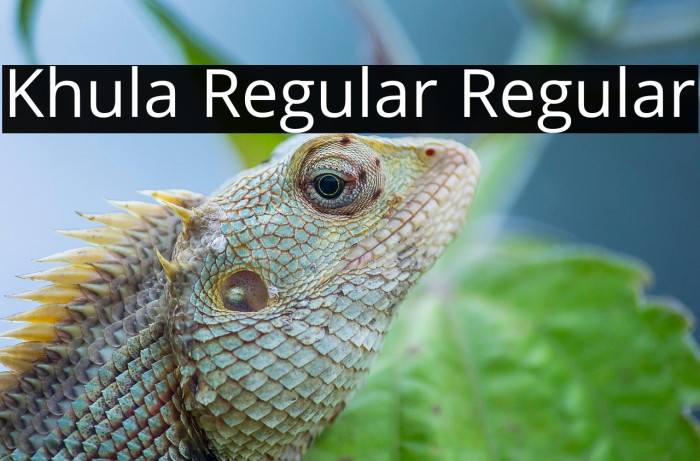 Khula Regular Regular Example 3