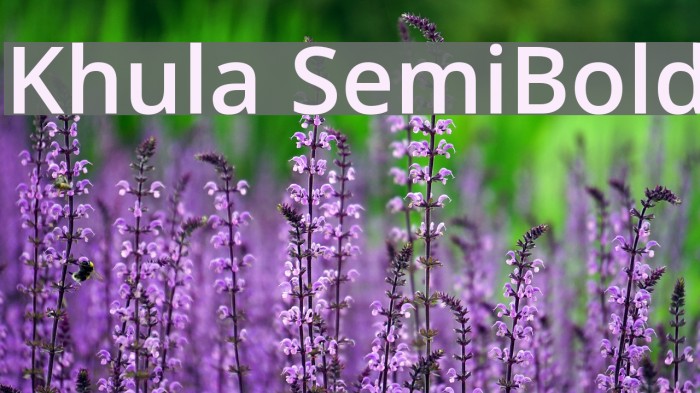 Khula SemiBold Example 2